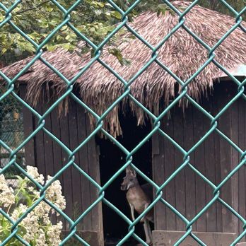 York Wild Kingdom - Amusement Parks Near Me - York, Maine