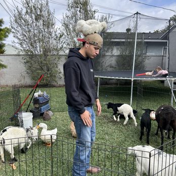 Becky's Pony Express - Petting Zoos Near Me