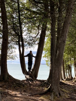 Cave Point County Park by null