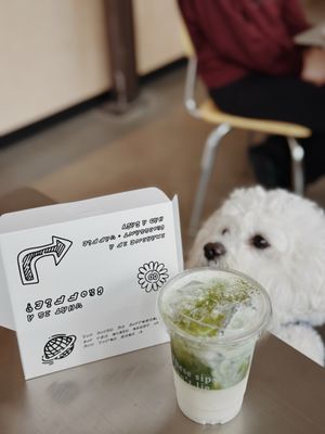 Yoka Tea by null