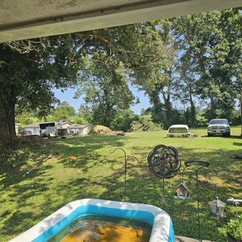 JD Tree Service Tennessee - Tree Services Near Me - Dandridge, Tennessee JD Tree Service Tennessee - Tree Services Near Me - Dandridge, Tennessee