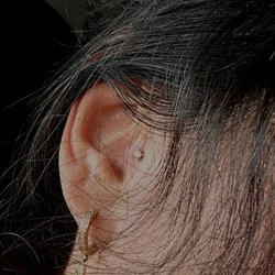 Sushi Balloon - Tragus
