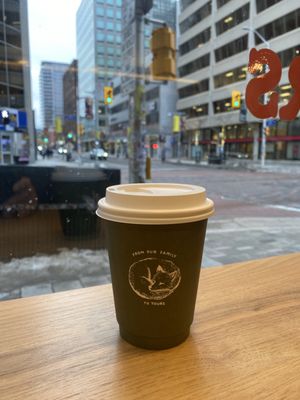 Little Victories Coffee Roasters - Glebe by null