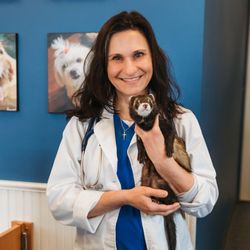 Wantage Veterinary Hospital - Dr. Bullock
