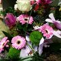 Blumen Grün Punkt
