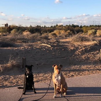 K9Kula - Pet Training Near Me