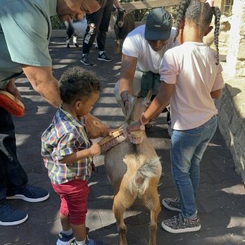 Fort Worth Zoo - Zoo - Zoos Near Me - Fort Worth, Texas
