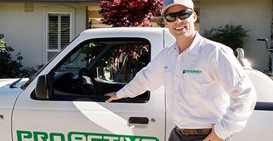 Pro Active Pest Control