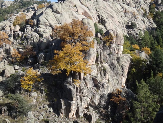 La Pedriza by null