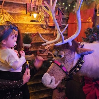 Once Upon An Island - Seeing the reindeer! - Party & Event Planning Near Me - Newport Beach, California