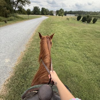 Dark Spring Stables - Horseback Riding Near Me - Hillsboro, Virginia