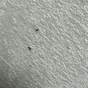 Crystal Palace Resort - Crap  on wall next to toilet - Resorts Near Me - Port Bolivar, Texas