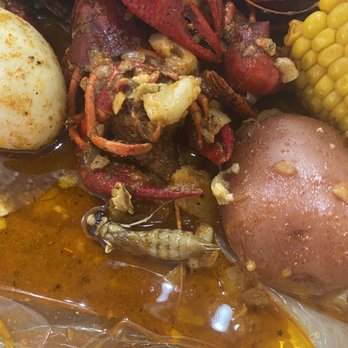 Kickin' Crab - Bug in my food !!! - Cajun/Creole Near Me - Carrollton, Texas Kickin' Crab - Bug in my food !!! - Cajun/Creole Near Me - Carrollton, Texas
