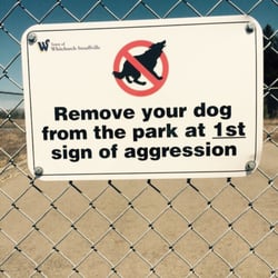 The Stouffville Off-Leash Dog Park - Trained dogs