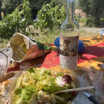 Bike And Wine - We ate a picnic lunch under a fig tree - Wine Tours Near Me - Nice, 06