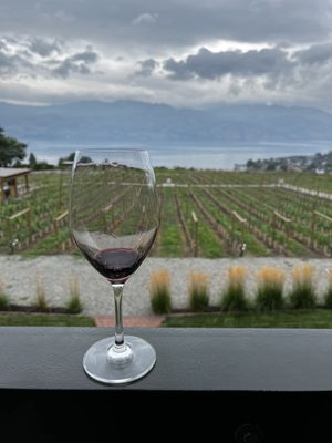 Old Vines Restaurant @ Quails' Gate Winery by null