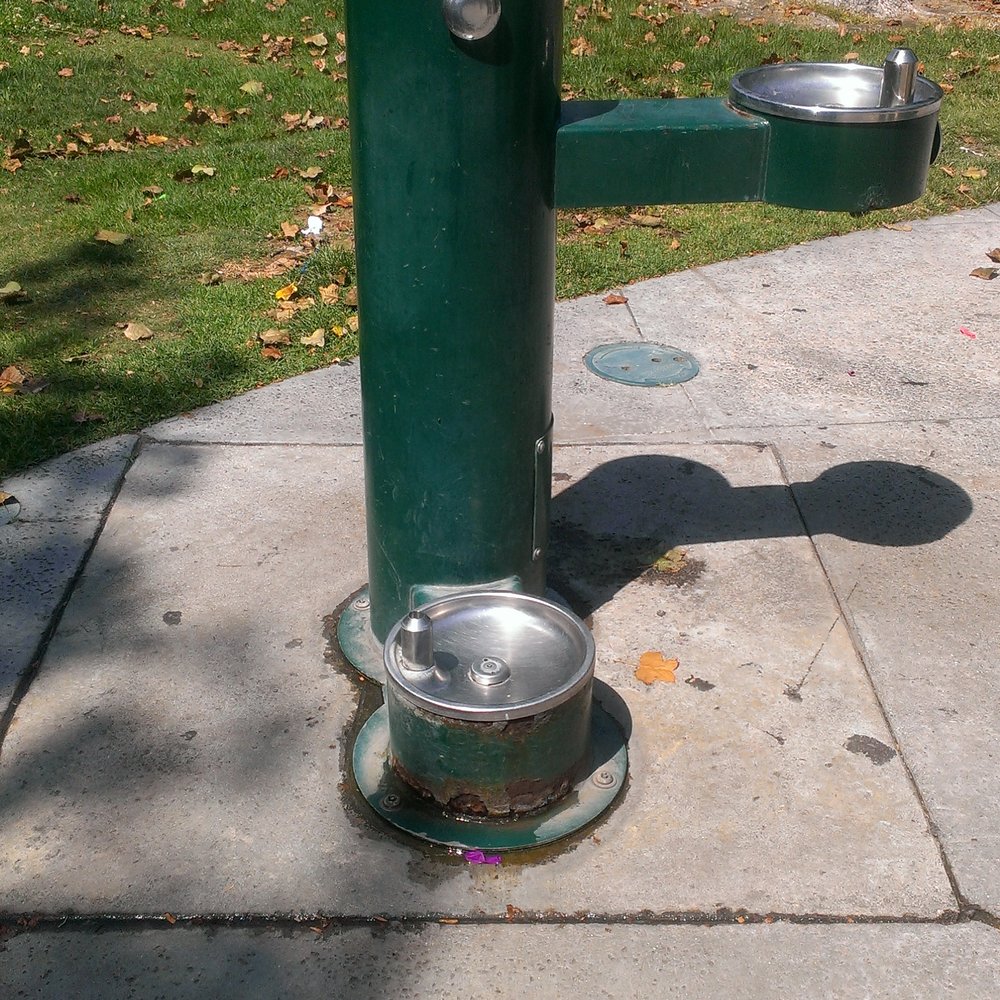 Very cool. A doggie water fountain. Very cool. A doggie water fountain.