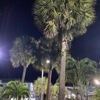 Golf N Gator - Mini Golf Near Me - Cape Canaveral, Florida