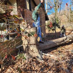 Alix Blanks Tree Service