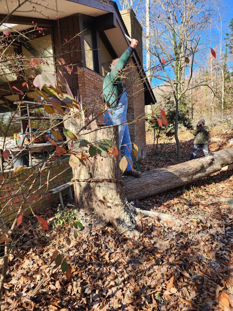Alix Blanks Tree Service - tree service in Clinton, TN
