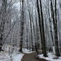 Photo of Crystal Mountain