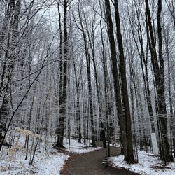 Crystal Mountain - The walking path going into the art park. Pretty area about a two minute drive from the main resort area. $10 fee to enter.