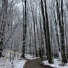 Crystal Mountain gift card