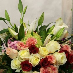Sarahpetals