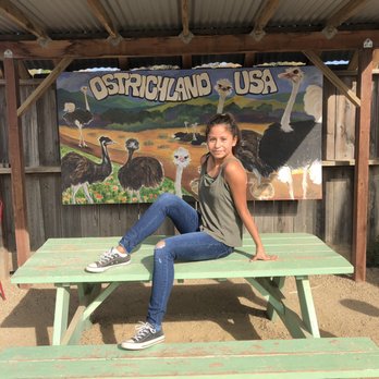 Ostrichland USA - Attraction Farms Near Me - Solvang, California Ostrichland USA - Attraction Farms Near Me - Solvang, California