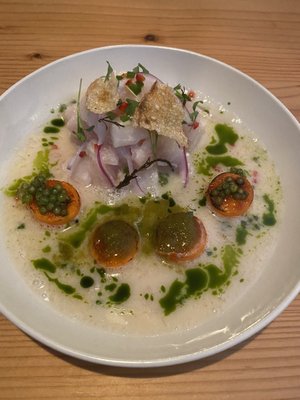 Seabird by null Seabird by null