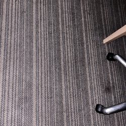 Country Inn & Suites by Radisson, Flagstaff, AZ - Room carpet