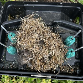 Aronson Pest Control - Pest Control Near Me - Prineville, Oregon Aronson Pest Control - Pest Control Near Me - Prineville, Oregon