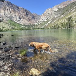 Parker Lake Trail