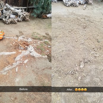 Alex's Tree Services - Alex made it look easy. He destroyed the tree trunk and roots with great precision. Such a passion for what he does! - Tree Services Near Me