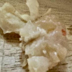 Popeyes Louisiana Kitchen - Cartilage and my tooth the tooth being out is the result of biting on and object forcing my tooth out