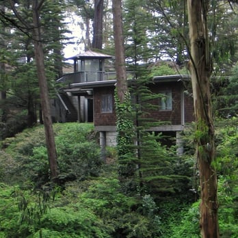 Mount Sutro - I am insanely jealous of whoever lives here - Parks Near Me - San Francisco, California