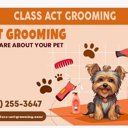 Class Act Grooming