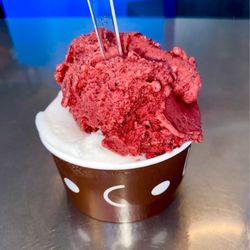 Chocolat - Forest berries gelato