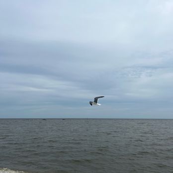 West Biloxi Boardwalk - West Biloxi Boardwalk (Biloxi, Mississippi) - Beaches Near Me - Biloxi, Mississippi West Biloxi Boardwalk - West Biloxi Boardwalk (Biloxi, Mississippi) - Beaches Near Me - Biloxi, Mississippi