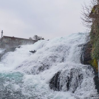 Rheinfall - Rhinefall - Landmarks & Historical Buildings Near Me - Neuhauen am Rheinfall, SH Rheinfall - Rhinefall - Landmarks & Historical Buildings Near Me - Neuhauen am Rheinfall, SH
