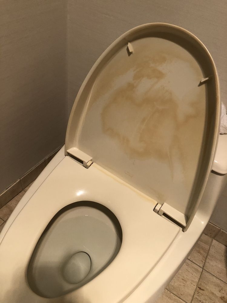 THE TREMONT CHICAGO HOTEL AT MAGNIFICENT MILE 249 Photos & 187 Reviews 100 E Chestnut St