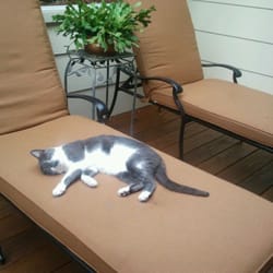 After a year of wind, rain, sun, hail, bird poo and a possessive cat, still in great condition.