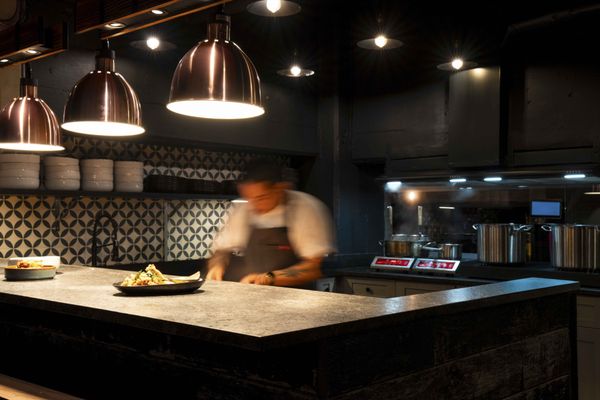 Singing Tiger by null