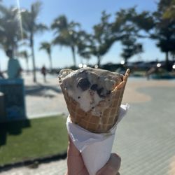 2000 Flavors Ice Cream - Turtle and coconut ice cream