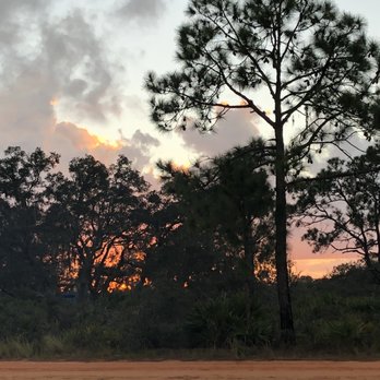 Highlands Hammock State Park - Parks Near Me - Sebring, Florida