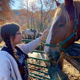 Bill the horse! Bill the horse!