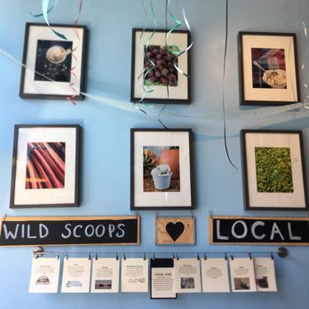 Wild Scoops - Ice Cream & Frozen Yogurt Near Me - Anchorage, Alaska Wild Scoops - Ice Cream & Frozen Yogurt Near Me - Anchorage, Alaska