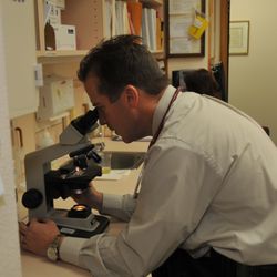 Corvallis Family Medicine - Dr. David examines a microscope slide.