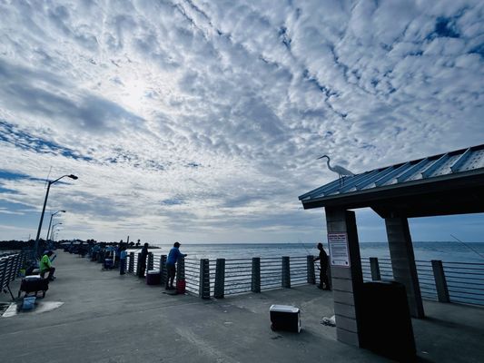 Fort De Soto Park by null