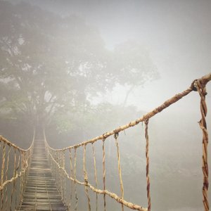 ELEVATIONS DAY SPA - 27 Photos & 105 Reviews - 42007 Fox Farm Rd, Big